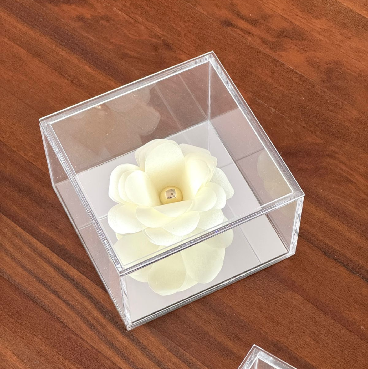 Mini Rose Off