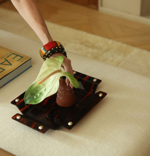 Turtle Serving P