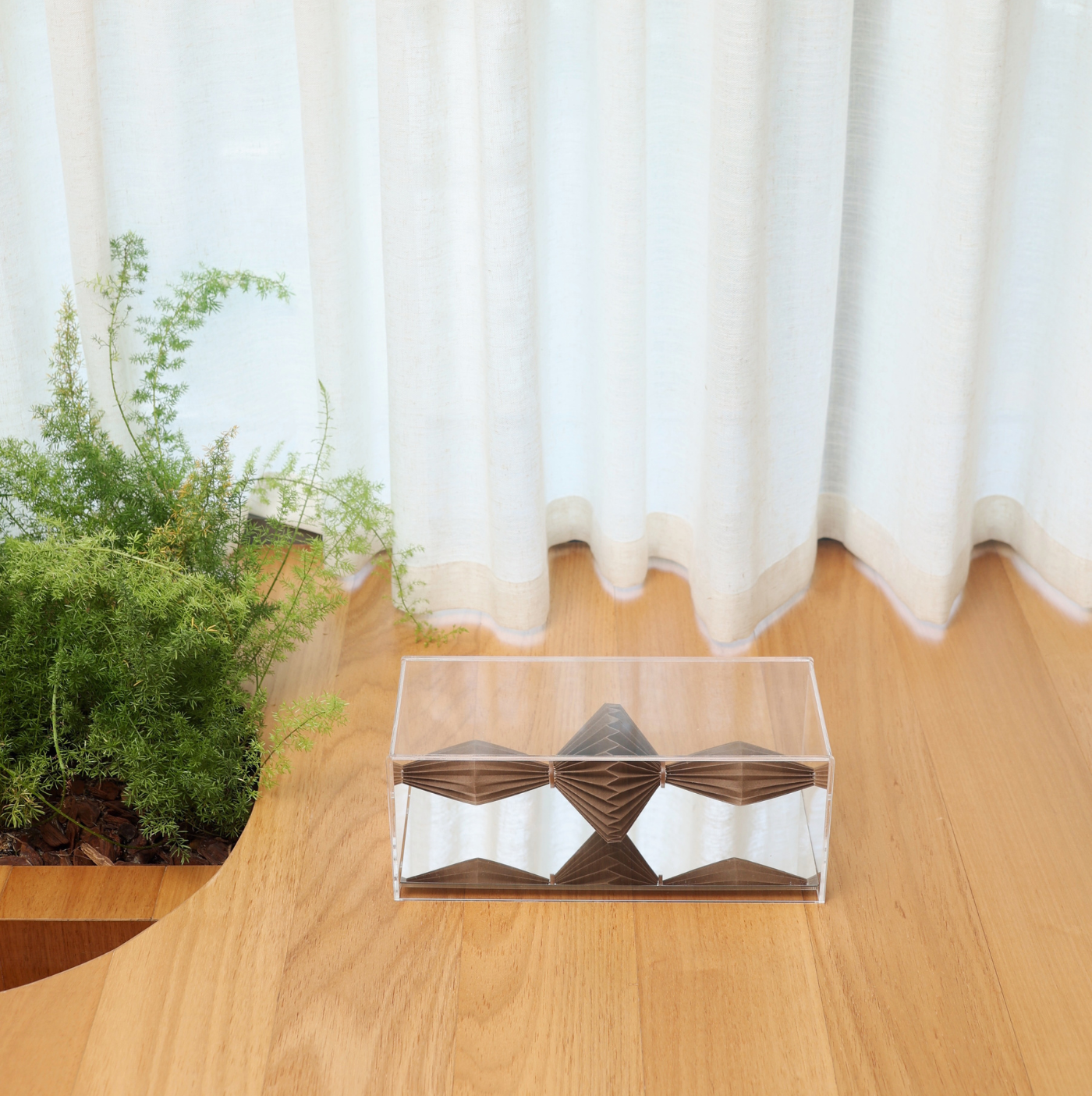 Double Triballoon Ar Brown